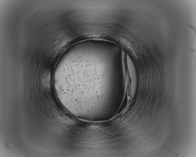 X0000091240596200708301540