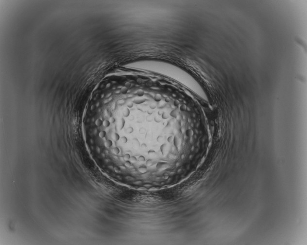 X0000091240597200708301540