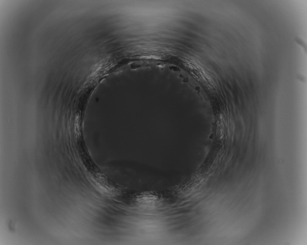 X0000091240598200708301540