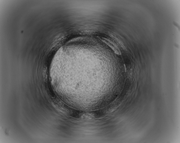 X0000091240599200708301540