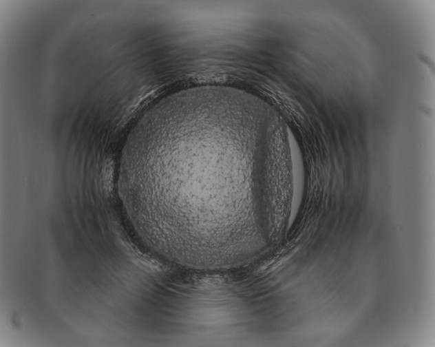 X0000091240600200708301540