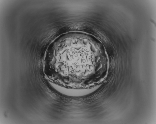 X0000091240601200708301540