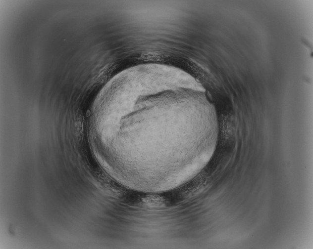 X0000091240603200708301540