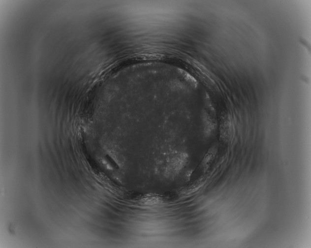 X0000091240604200708301540