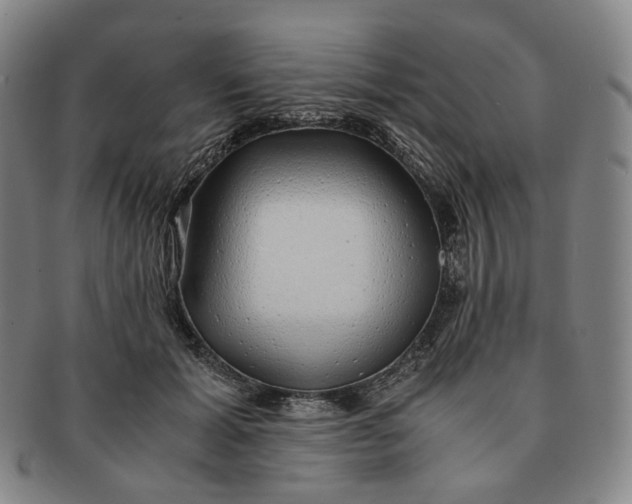 X0000091240605200708301540