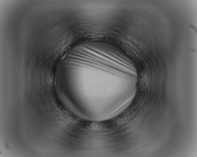 X0000091240608200708301540