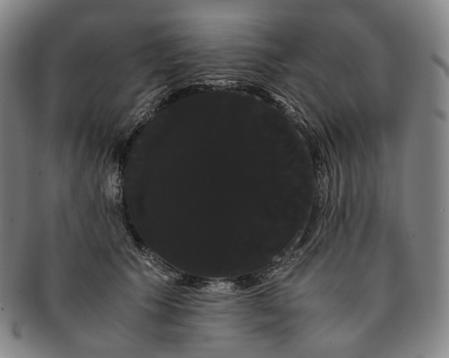 X0000091240609200708301540