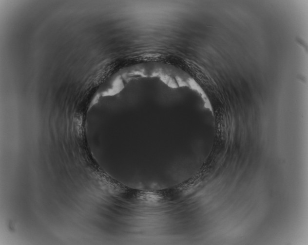 X0000091240610200708301540