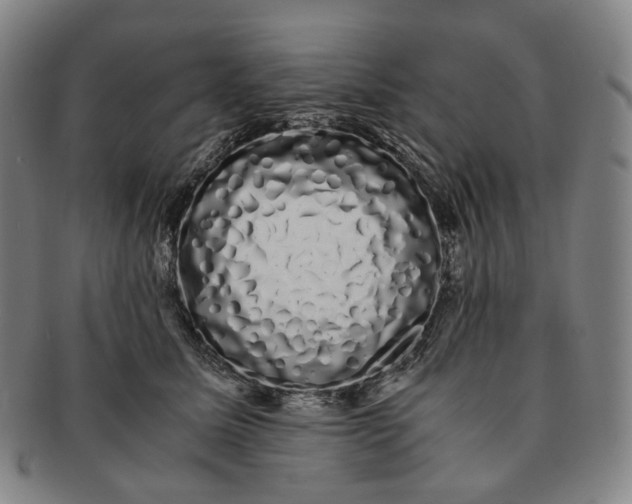 X0000091240611200708301540