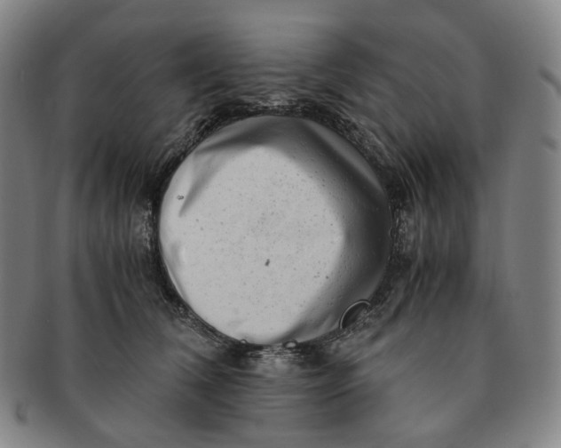 X0000091240612200708301540