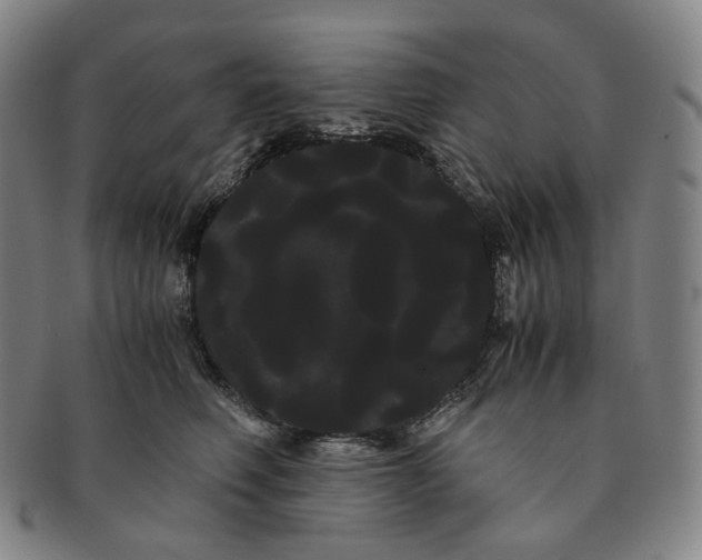 X0000091240614200708301540