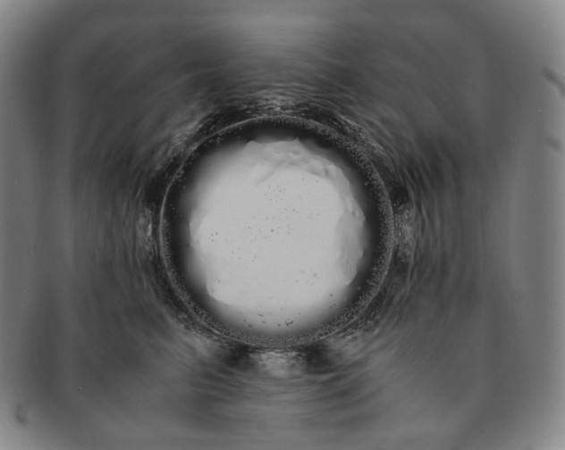 X0000091240615200708301540