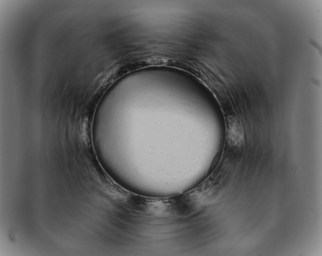 X0000091240616200708301540