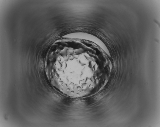 X0000091240617200708301540