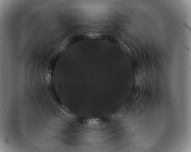 X0000091240618200708301540