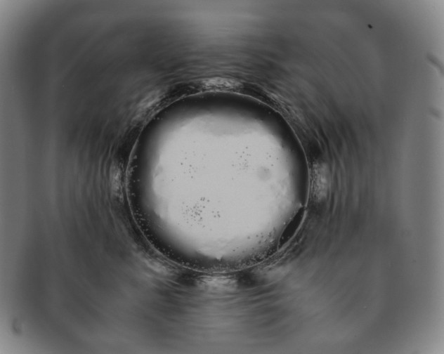 X0000091240619200708301540