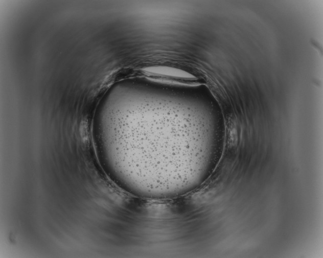 X0000091240620200708301540