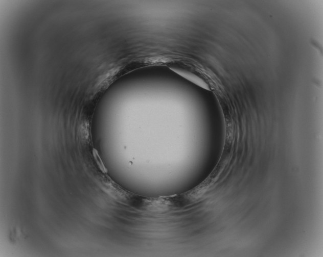 X0000091240621200708301540