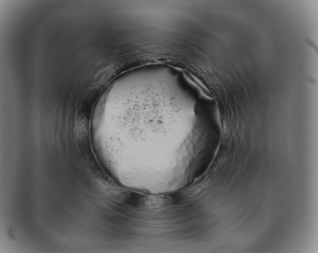 X0000091240623200708301540