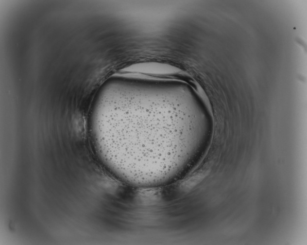 X0000091240624200708301540