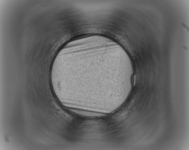 X0000091240625200708301539