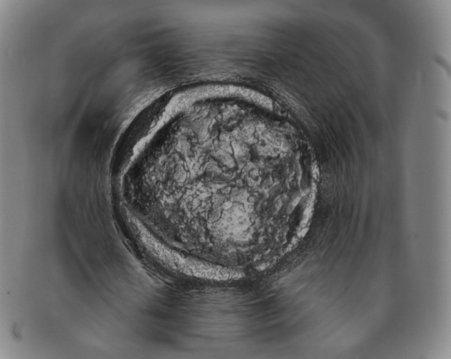 X0000091240626200708301539