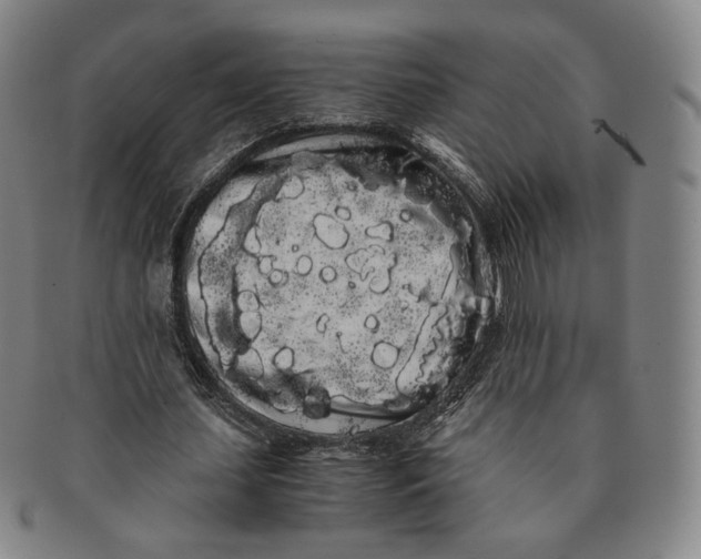 X0000091240627200708301539