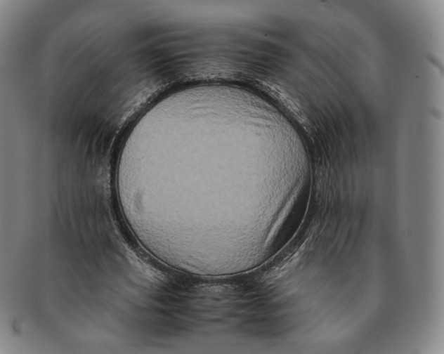 X0000091240629200708301539