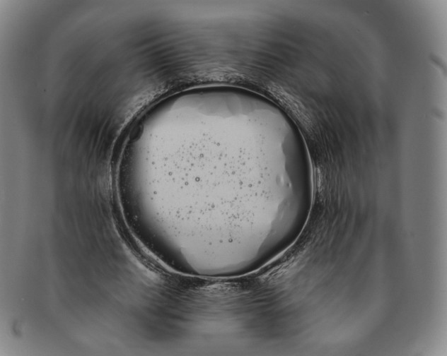 X0000091240630200708301539