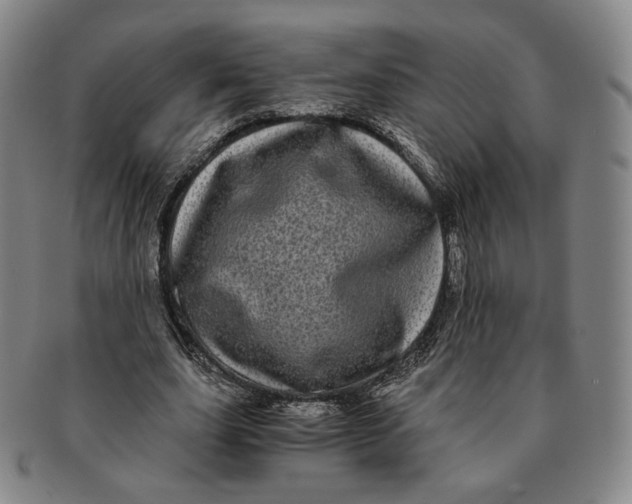 X0000091240631200708301539