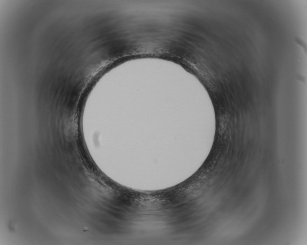 X0000091240632200708301539