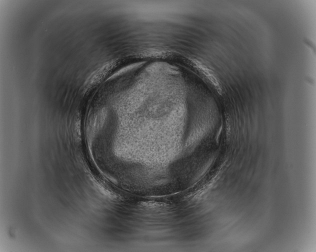 X0000091240633200708301539