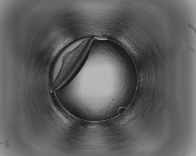 X0000091240634200708301539