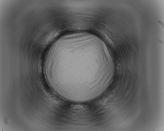 X0000091240635200708301539