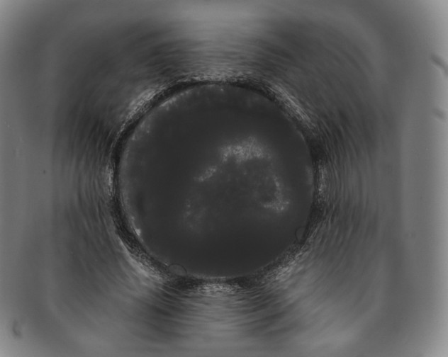 X0000091240636200708301539