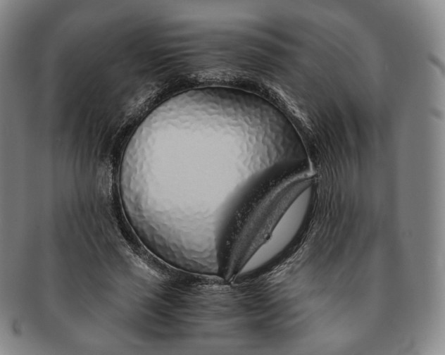 X0000091240637200708301539