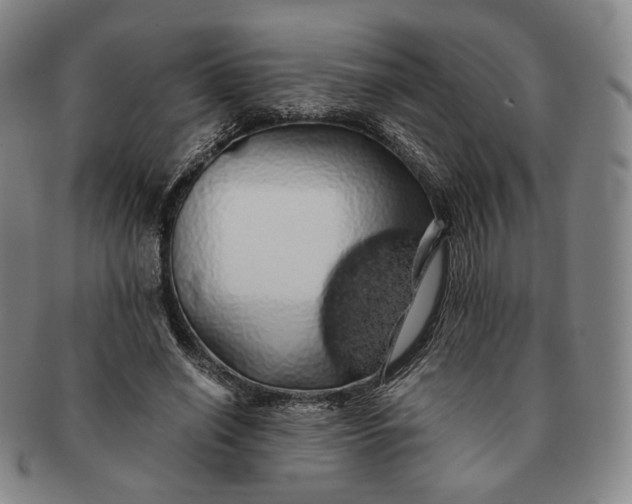 X0000091240638200708301539