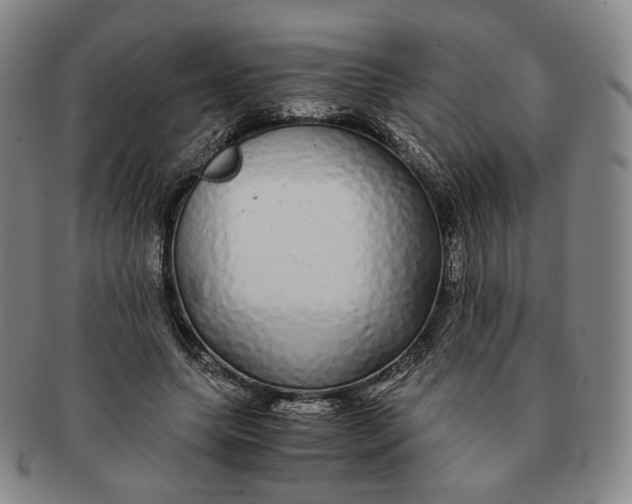 X0000091240639200708301539