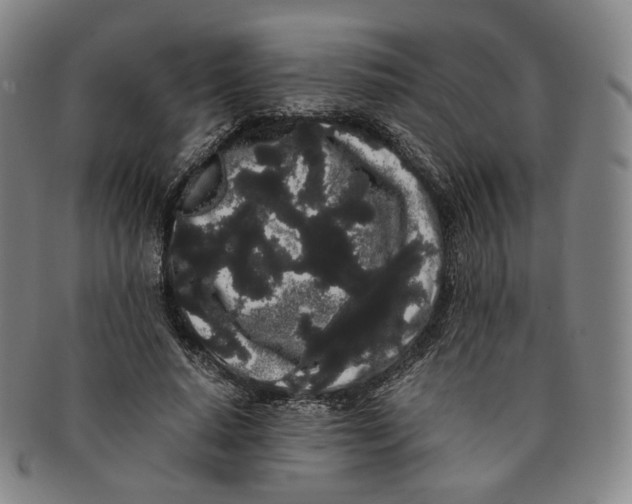 X0000091240640200708301539