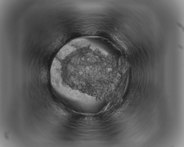 X0000091240641200708301539