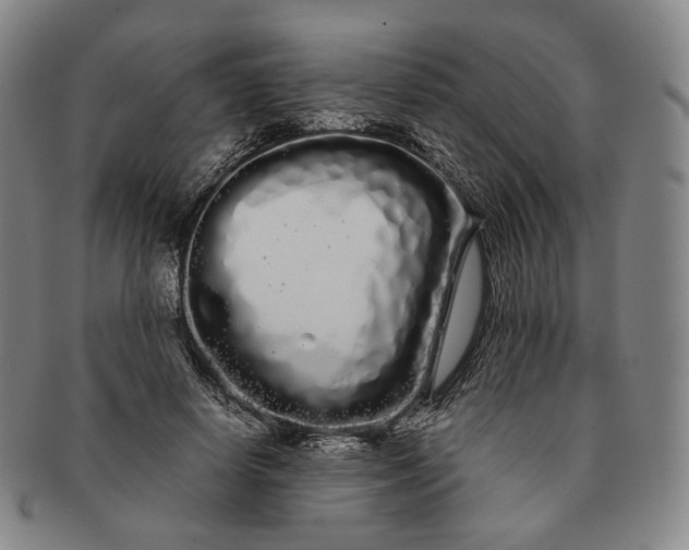 X0000091240642200708301539