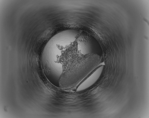 X0000091240643200708301540