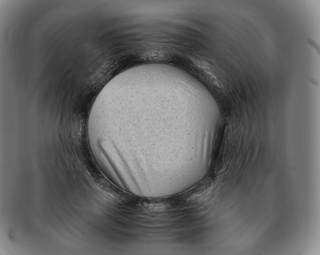 X0000091240645200708301540