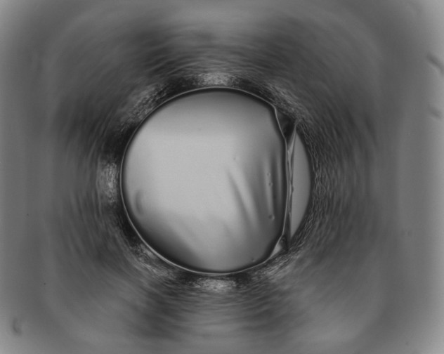 X0000091240646200708301540