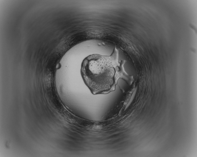 X0000091240647200708301540