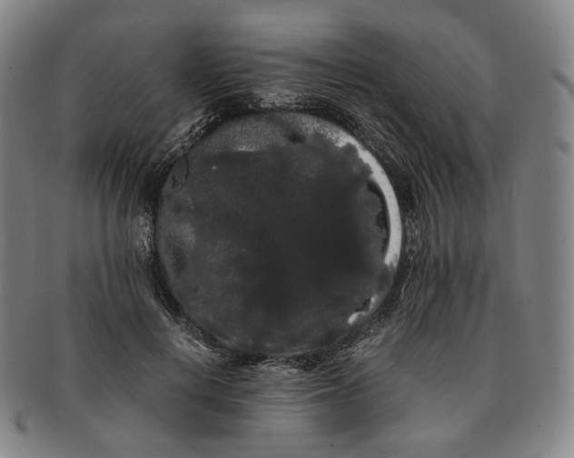 X0000091240648200708301540