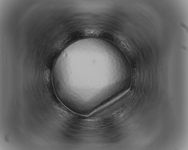 X0000091240649200708301540