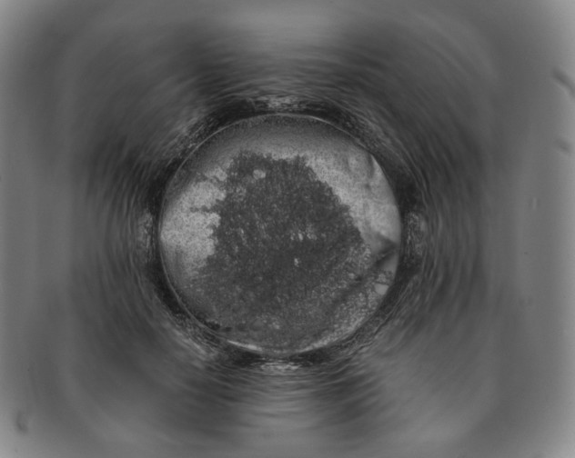 X0000091240650200708301540