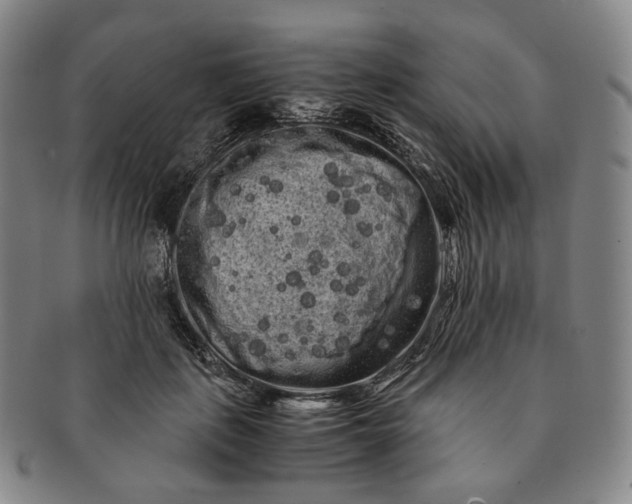 X0000091240651200708301540