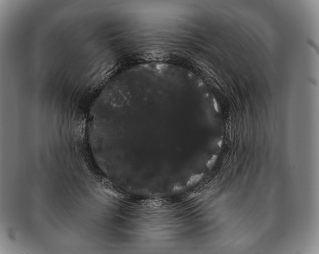 X0000091240652200708301540